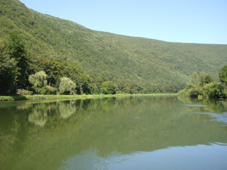 La Meuse près de Laifour